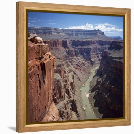 Deep Gorge of the Colorado River on the West Rim of the Grand Canyon, Arizona, USA-Tony Gervis-Framed Premier Image Canvas