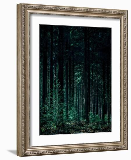 Deep Green-Design Fabrikken-Framed Photographic Print