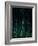 Deep Green-Design Fabrikken-Framed Photographic Print