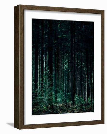 Deep Green-Design Fabrikken-Framed Photographic Print