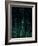 Deep Green-Design Fabrikken-Framed Photographic Print