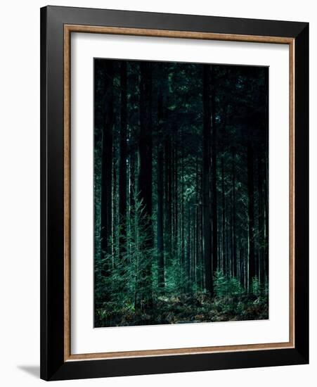 Deep Green-Design Fabrikken-Framed Photographic Print