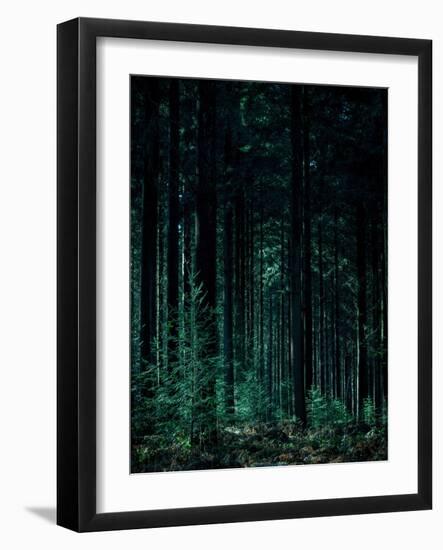 Deep Green-Design Fabrikken-Framed Photographic Print
