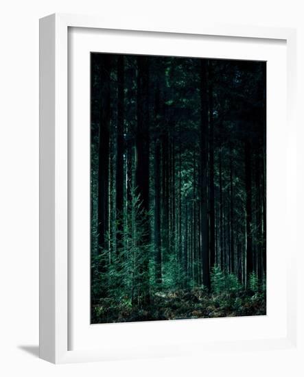 Deep Green-Design Fabrikken-Framed Photographic Print