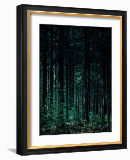 Deep Green-Design Fabrikken-Framed Photographic Print