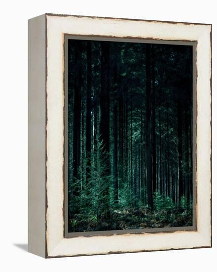 Deep Green-Design Fabrikken-Framed Premier Image Canvas