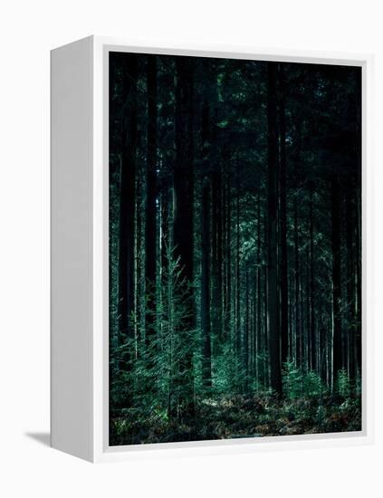Deep Green-Design Fabrikken-Framed Premier Image Canvas