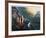 Deep in the Canyon-Jorge Tarallo-Framed Collectable Print