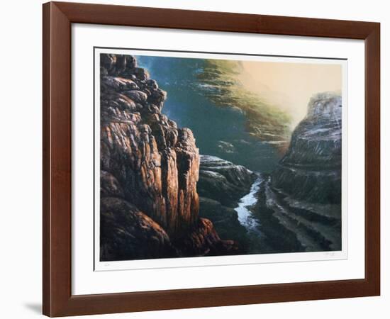 Deep in the Canyon-Jorge Tarallo-Framed Collectable Print