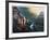 Deep in the Canyon-Jorge Tarallo-Framed Collectable Print