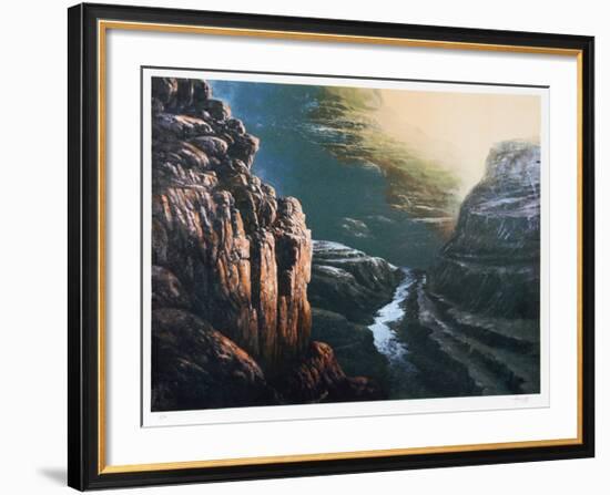 Deep in the Canyon-Jorge Tarallo-Framed Collectable Print