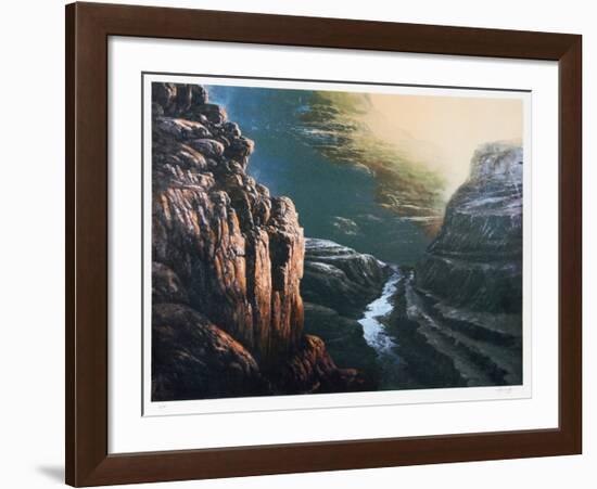 Deep in the Canyon-Jorge Tarallo-Framed Collectable Print