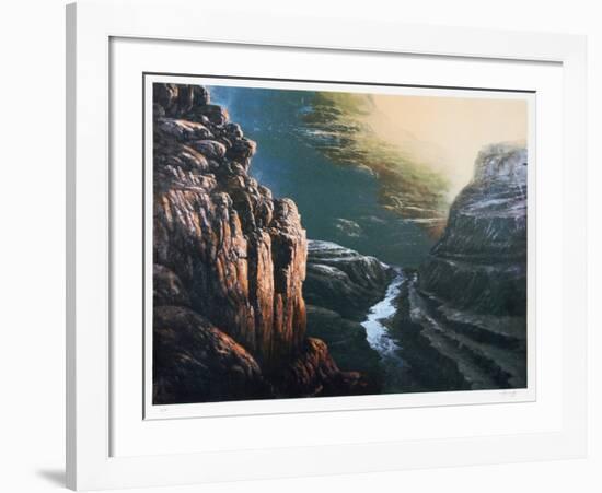 Deep in the Canyon-Jorge Tarallo-Framed Collectable Print