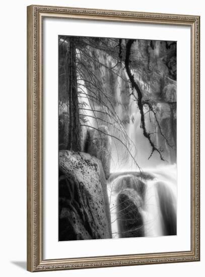 Deep In the Cascades, Yosemite-Vincent James-Framed Photographic Print