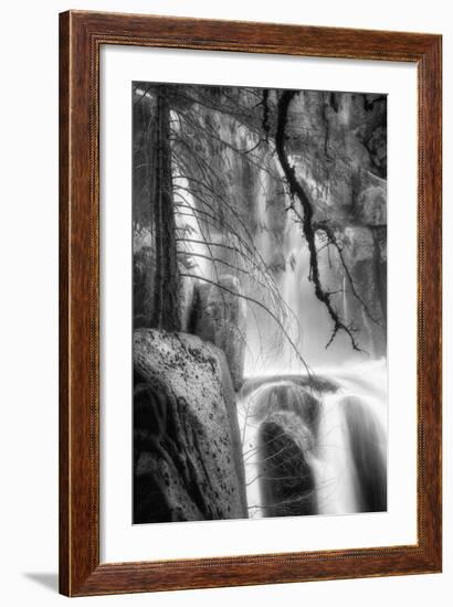 Deep In the Cascades, Yosemite-Vincent James-Framed Photographic Print