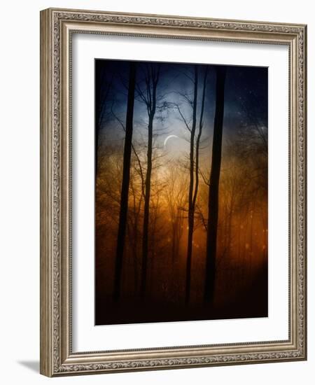 Deep In The Forest-Julie Fain-Framed Art Print