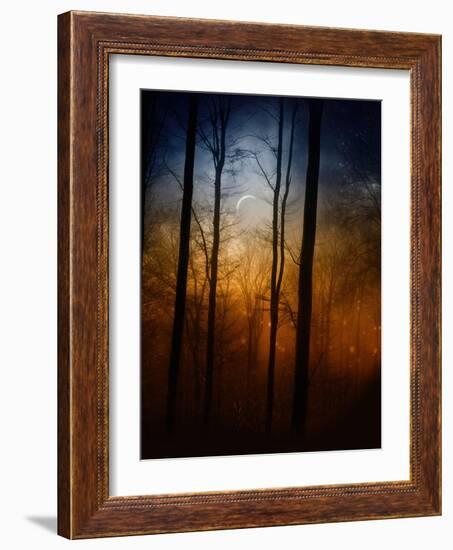 Deep In The Forest-Julie Fain-Framed Art Print