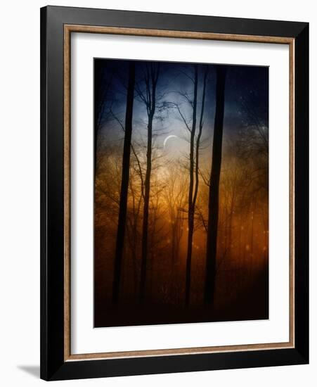 Deep In The Forest-Julie Fain-Framed Art Print