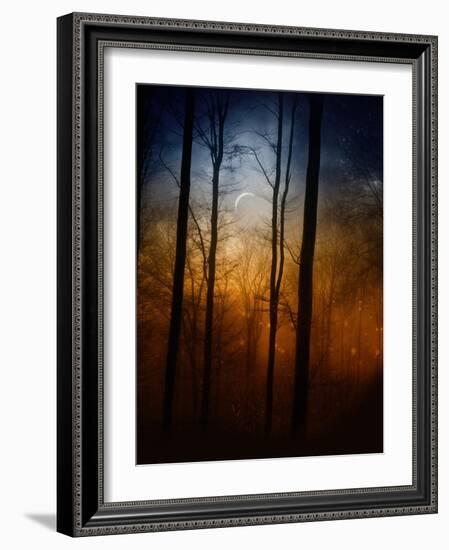 Deep In The Forest-Julie Fain-Framed Art Print