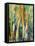 Deep in the Forest-Margaret Coxall-Framed Premier Image Canvas