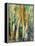 Deep in the Forest-Margaret Coxall-Framed Premier Image Canvas