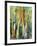 Deep in the Forest-Margaret Coxall-Framed Giclee Print