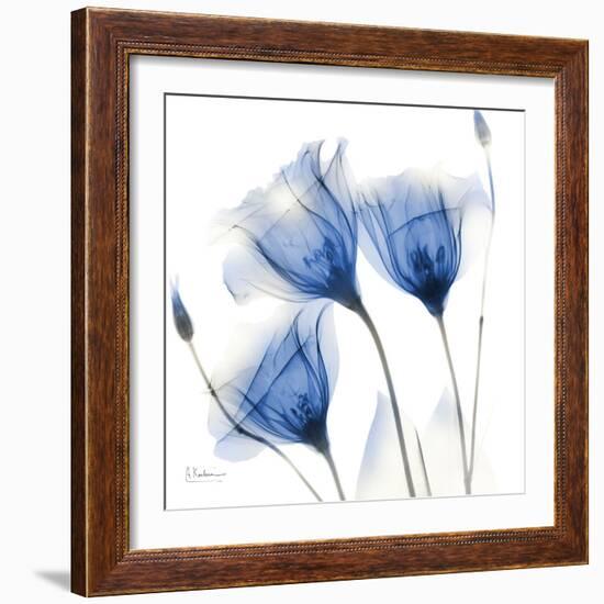 Deep Indigo Harvest 1-Albert Koetsier-Framed Art Print