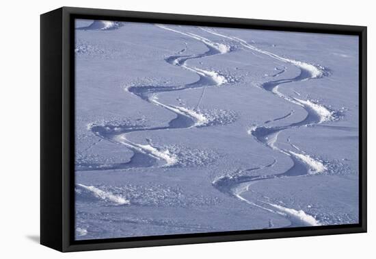 Deep Powder Snow, Ski Traces, Tyrol, Austria-Norbert Eisele-Hein-Framed Premier Image Canvas