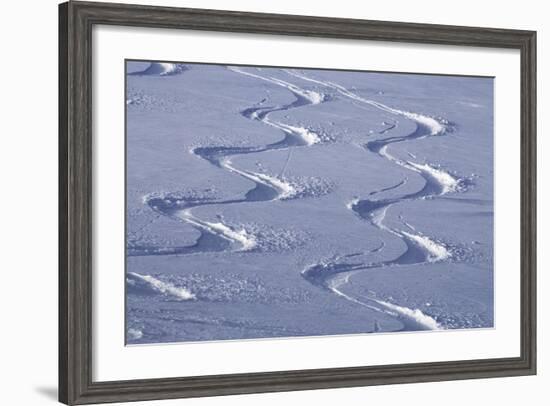 Deep Powder Snow, Ski Traces, Tyrol, Austria-Norbert Eisele-Hein-Framed Photographic Print