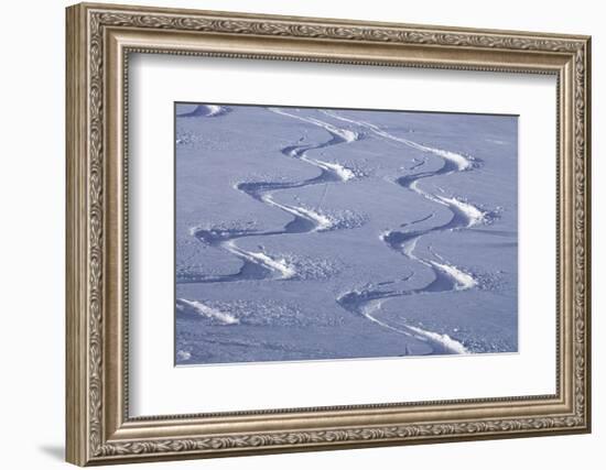 Deep Powder Snow, Ski Traces, Tyrol, Austria-Norbert Eisele-Hein-Framed Photographic Print