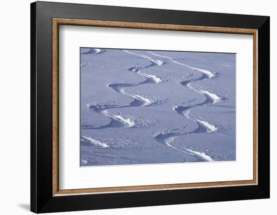 Deep Powder Snow, Ski Traces, Tyrol, Austria-Norbert Eisele-Hein-Framed Photographic Print