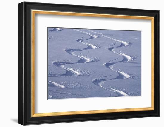 Deep Powder Snow, Ski Traces, Tyrol, Austria-Norbert Eisele-Hein-Framed Photographic Print