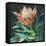 Deep Protea Crop-Danhui Nai-Framed Stretched Canvas