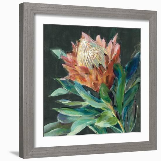 Deep Protea Crop-Danhui Nai-Framed Art Print