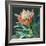 Deep Protea Crop-Danhui Nai-Framed Art Print