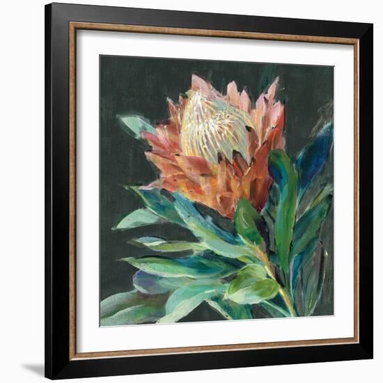 Deep Protea Crop-Danhui Nai-Framed Art Print