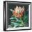 Deep Protea Crop-Danhui Nai-Framed Art Print