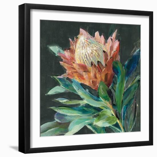 Deep Protea Crop-Danhui Nai-Framed Art Print