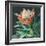 Deep Protea Crop-Danhui Nai-Framed Art Print