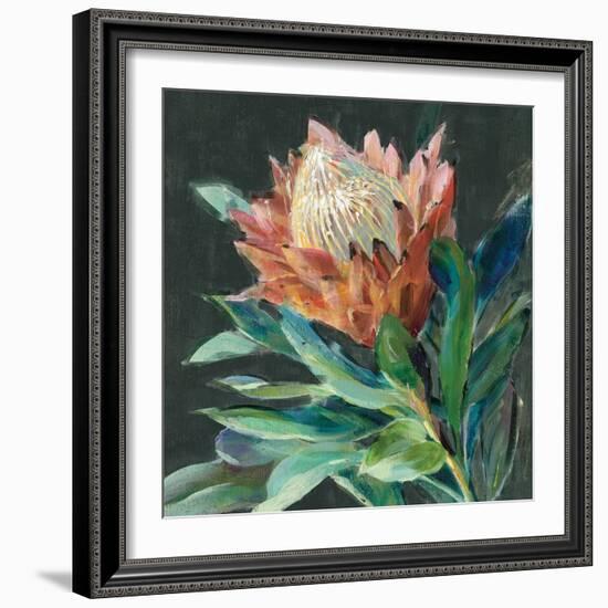 Deep Protea Crop-Danhui Nai-Framed Art Print