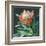 Deep Protea Crop-Danhui Nai-Framed Art Print