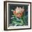 Deep Protea Crop-Danhui Nai-Framed Art Print