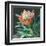 Deep Protea Crop-Danhui Nai-Framed Art Print