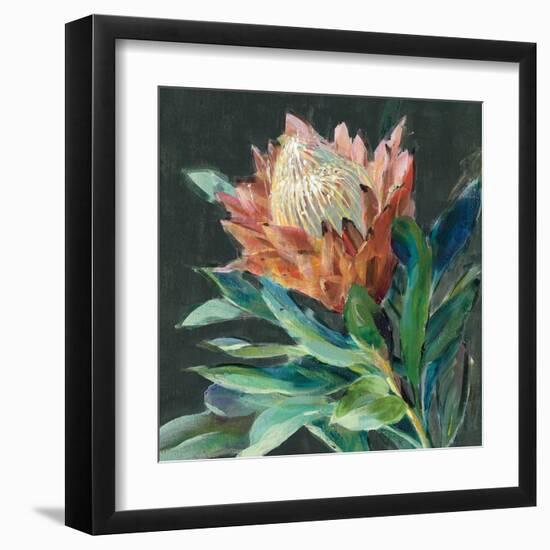 Deep Protea Crop-Danhui Nai-Framed Art Print