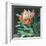 Deep Protea Crop-Danhui Nai-Framed Art Print