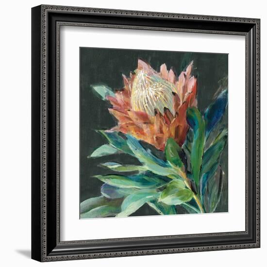 Deep Protea Crop-Danhui Nai-Framed Art Print