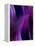 Deep Purple Mist-Ruth Palmer-Framed Stretched Canvas