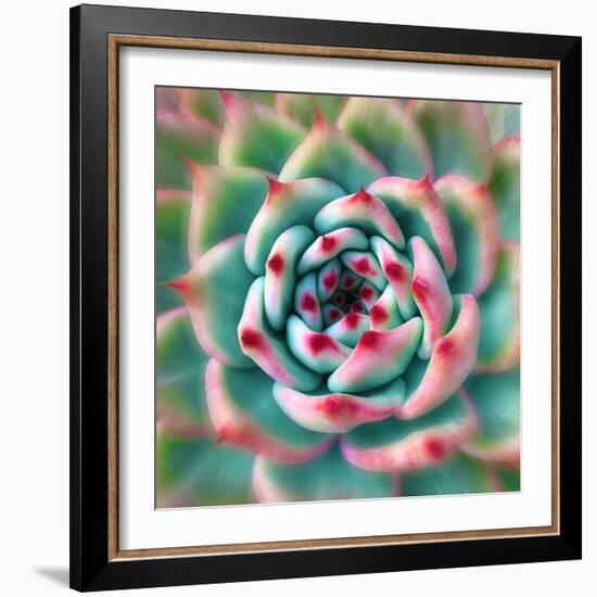 Deep Red Tips-Jan Bell-Framed Photographic Print