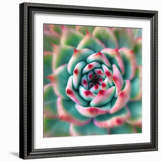 Deep Red Tips-Jan Bell-Framed Photographic Print