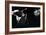 Deep Sea Anglerfish-Christian Darkin-Framed Photographic Print